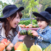 子供連れのための楽しいバーベキューについて